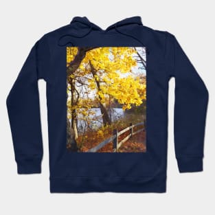 Autumn Path in the Park Hoodie